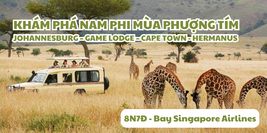 Tour Nam Phi Mùa Phượng Tím 8N7Đ bay Singapore Airlines