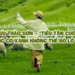 Đại Hải Thảo Sơn – “Tiểu Tân Cương” giữa lòng Vân Nam, thiên đường cỏ xanh không thể bỏ lỡ