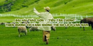 Đại Hải Thảo Sơn – “Tiểu Tân Cương” giữa lòng Vân Nam, thiên đường cỏ xanh không thể bỏ lỡ